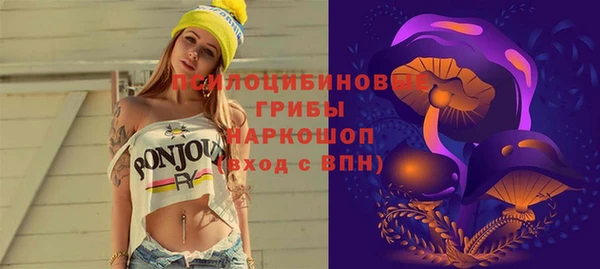 гидропоника Алзамай