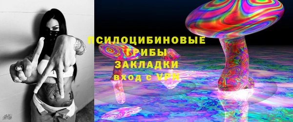 гидропоника Алзамай