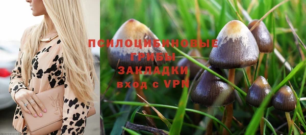 скорость Алексин