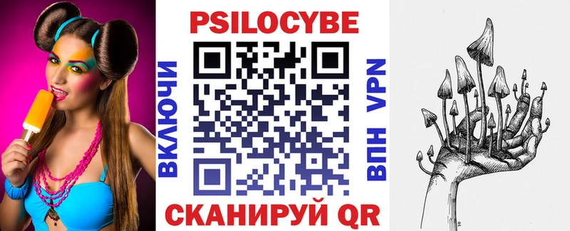 mega сайт  купить   Стерлитамак  Псилоцибиновые грибы мицелий 