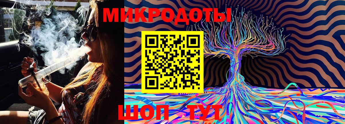 Псилоцибиновые грибы Psilocybe Стерлитамак