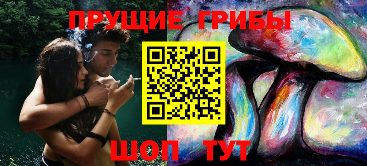Стерлитамак  Галлюциногенные грибы GOLDEN TEACHER  купить наркотики сайты  Псилоцибиновые грибы ЛСД  Вход с VPN 